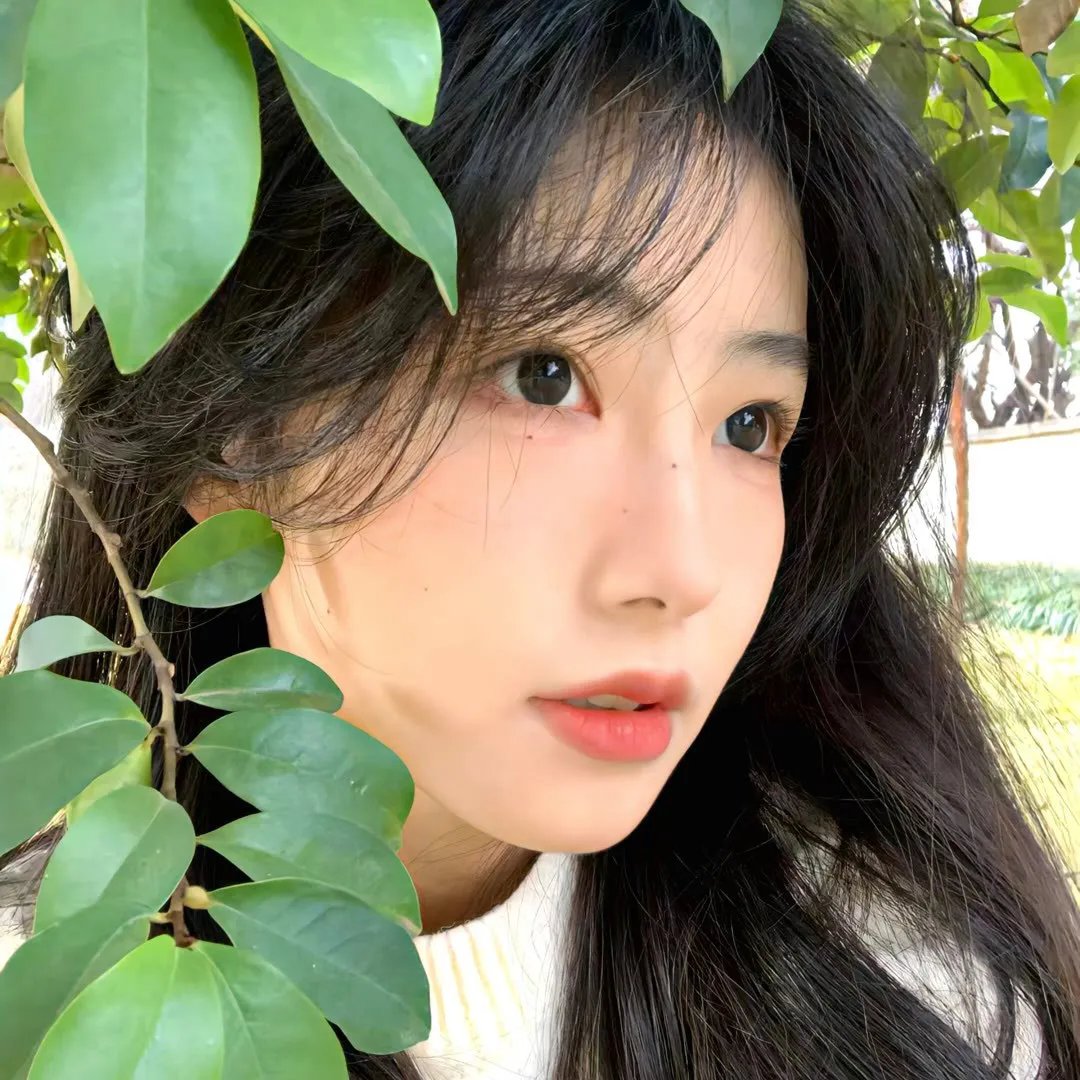 家族的诞生