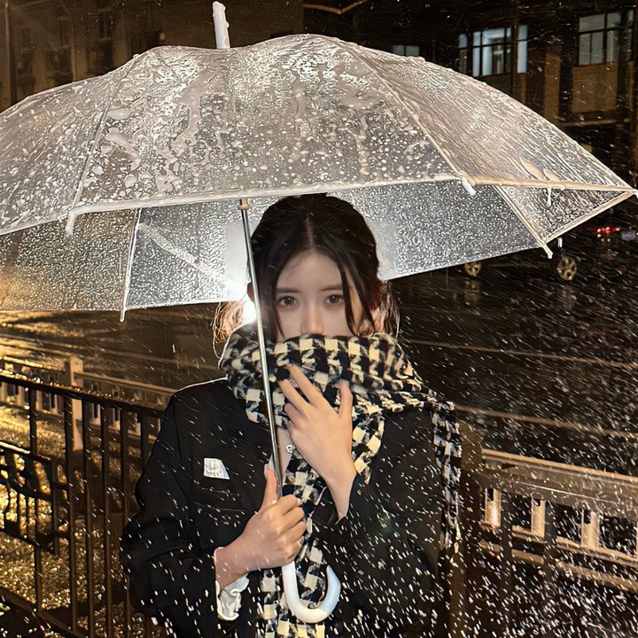 海伦夫人的冒险