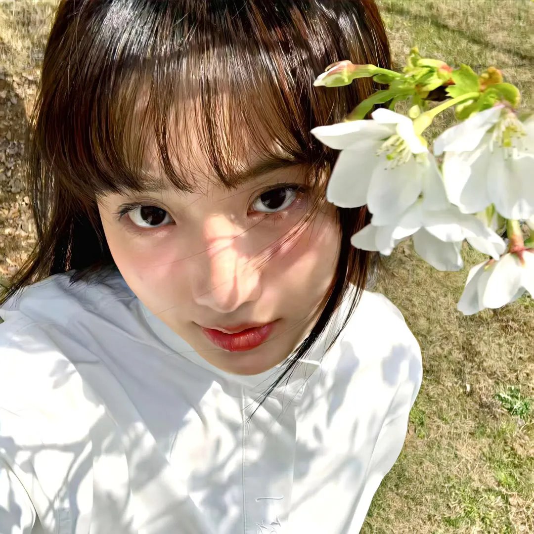 长颈鹿扎拉法